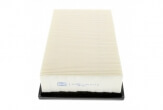 CAF100527P CAF100527P