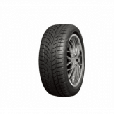 RoadX 225/55 R17 RXFROST WU01 97H