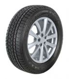 PROFIL Pro Snow 790 225/55 R17C 109T