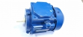 Motor electric 0,37/1000