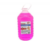 Dezinfectant pentru mâini Dilan 5L
