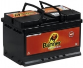 Banner Starting Bull 588 20