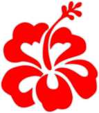 Abtibilduri pentru auto "Hibiscus"