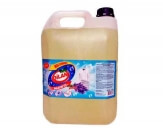 Bleach Dilan Belizna levantica 5L