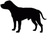 Autocolante pentru automobil "Staffordshire bull terrier"
