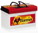 Banner Power Bull PROfessional PRO P77 40