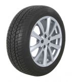 VREDESTEIN Wintrac PRO Plus 255/35 R19 96Y