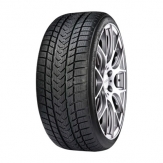 GRIPMAX STATUS PRO WINTER 245/35 R20 95V
