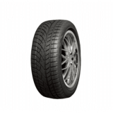 RoadX 255/55 R18 RXEROST WU01 109H