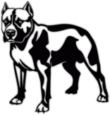 Наклейки на авто "Питбуль 2"