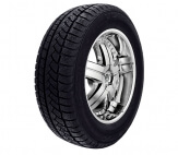 Radburg MS810.VS790 215/55 R16 93T