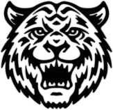 Abtibilduri auto "Tigru"