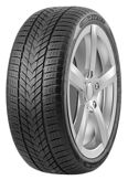 Arivo Winmaster ProX ARW5 255/55 R19 111H XL